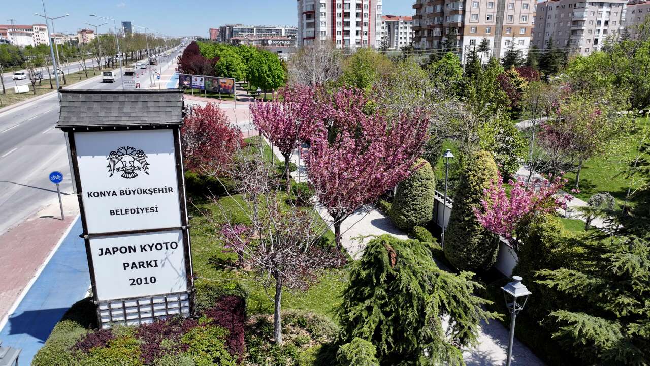 Burası Japonya değil, Konya! Sakuralar çiçek açtı 6